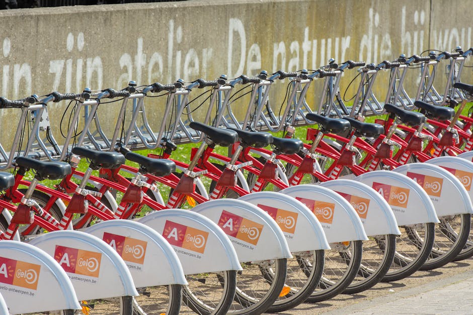 A row of modern Mebiwae bicycles ready for adventure against an urban backdrop
